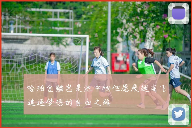 哈珀金鳞岂是池中物但愿展翅高飞追逐梦想的自由之路